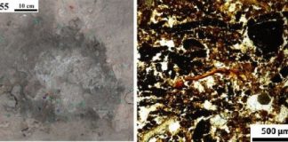 Research: Microscopic and molecular evidence at paleolithic hearth sites helps uncover Neanderthal mobility habits —