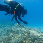 Study: Place-based management can protect coral reefs in a changing climate — (Details)