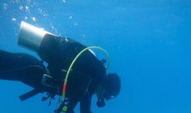 Study: Place-based management can protect coral reefs in a changing climate — (Details)