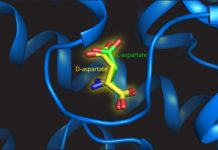 Tech: Left or right handed biomolecules — (Report)