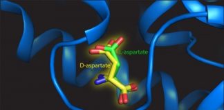 Tech: Left or right handed biomolecules — (Report)