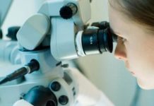 Research: Screening for genes to improve protein production in yeast —