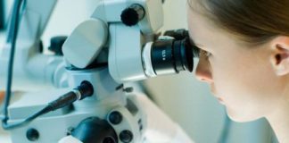 Research: Screening for genes to improve protein production in yeast —