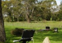 Offbeat: Archaeologists are using subsurface imaging technology to help community groups map unmarked graves —