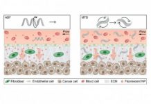 Research: Tiny robots powered by magnetic fields could help drug-delivery nanoparticles reach their targets —