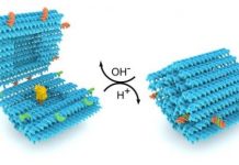 Research: DNA folds into a smart nanocapsule for drug delivery —