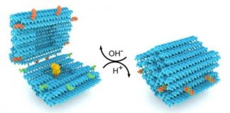 Research: DNA folds into a smart nanocapsule for drug delivery —