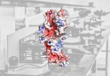 Research: Understanding these superglue proteins could help in the battle against antibiotic resistance —