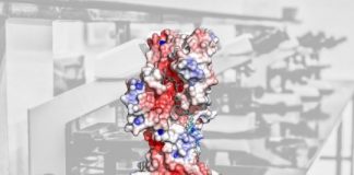 Research: Understanding these superglue proteins could help in the battle against antibiotic resistance —