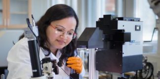 Tech: General rule for the energy of water-induced traps in organic semicondutors — (Report)