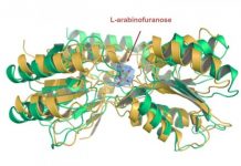 Research: Simple Solution to Complex Problem —
