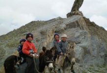 Research: Details of the history of inner Eurasia revealed —