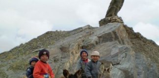 Research: Details of the history of inner Eurasia revealed —