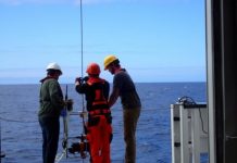 Research: Biology and physics might combine to increase greenhouse effect —