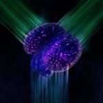 Study: New 3D microscope visualizes fast biological processes better than ever — (Details)