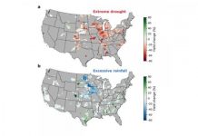 Research: Excessive rainfall as damaging to corn yield as extreme heat, drought —
