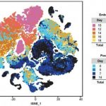 Study: Study identifies earliest traces of brain cancer long before the disease becomes symptomatic — (Details)