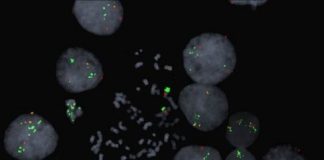 Study: Research may inform drug regimens for improved outcomes — (Details)