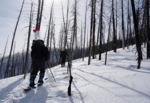 Research: Forest fires accelerating snowmelt across western US —