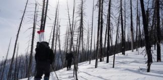 Research: Forest fires accelerating snowmelt across western US —