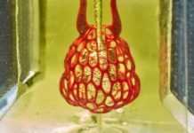 Tech: Bioengineers clear major hurdle on path to 3D printing replacement organs — (Report)