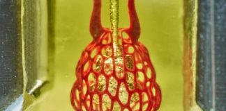 Tech: Bioengineers clear major hurdle on path to 3D printing replacement organs — (Report)