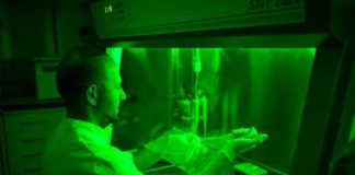 Research: How the immune system recognizes pathogens: Interaction Time —
