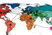 Research: What the wheat genome tells us about wars —