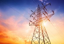 Research: UV lights on power lines may help save Sandhill cranes —