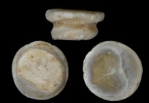 Research: Freshwater mussel shells were material of choice for prehistoric craftsmen —