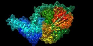 Study: New ‘jumping’ superbug gene discovered, resistant to last-resort antibiotic — (Details)