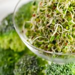 Study: Broccoli sprout compound may restore brain chemistry imbalance linked to schizophrenia — (Details)