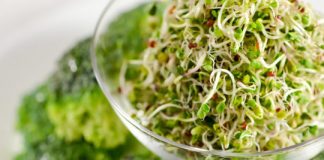 Study: Broccoli sprout compound may restore brain chemistry imbalance linked to schizophrenia — (Details)