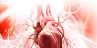 Study: Genetic therapy heals damage caused by heart attack — (Details)