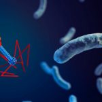 Study: Phage therapy treats patient with drug-resistant bacterial infection — (Details)