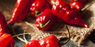 Study: An electric tongue can handle more spicy foods than you can — (Details)