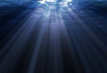 Research: New type of highly sensitive vision discovered in deep-sea fish —