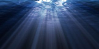 Research: New type of highly sensitive vision discovered in deep-sea fish —