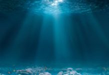 Tech: Use of robots and artificial intelligence to understand the deep sea — (Report)