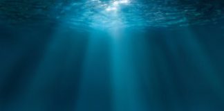 Tech: Use of robots and artificial intelligence to understand the deep sea — (Report)