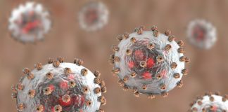 Research: Study uncovers key mechanism that allows some of the world’s deadliest viruses to replicate —