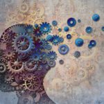 Study: Functional connectomics of affective and psychotic pathology — (Details)