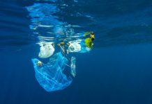 Research: Plastic pollution harms the bacteria that help produce the oxygen we breathe —