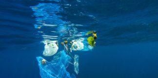 Research: Plastic pollution harms the bacteria that help produce the oxygen we breathe —