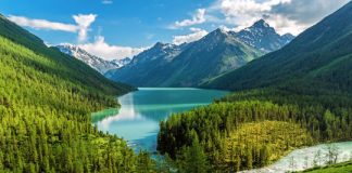 Research: Amount of carbon stored in forests reduced as climate warms —