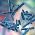 Study: Age also seems to be a factor, with younger guts more bacterially diverse (a good thing) than older ones — (Details)