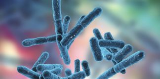 Study: Age also seems to be a factor, with younger guts more bacterially diverse (a good thing) than older ones — (Details)