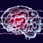 Study: Researchers use medical imaging to map areas involved in recalling learned information while we slumber — (Details)