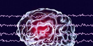 Study: Researchers use medical imaging to map areas involved in recalling learned information while we slumber — (Details)