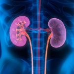 Study: Genomic collision may explain why many kidney transplants fail — (Details)